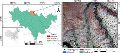 Estimating and mapping the soil total nitrogen contents in black soil region using hyperspectral images towards environmental heterogeneity